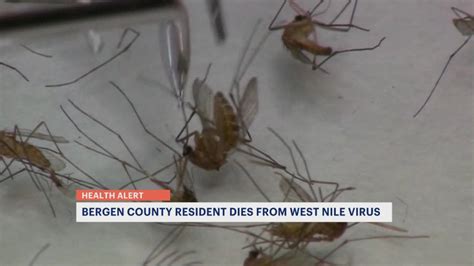 Denver resident dies from West Nile virus